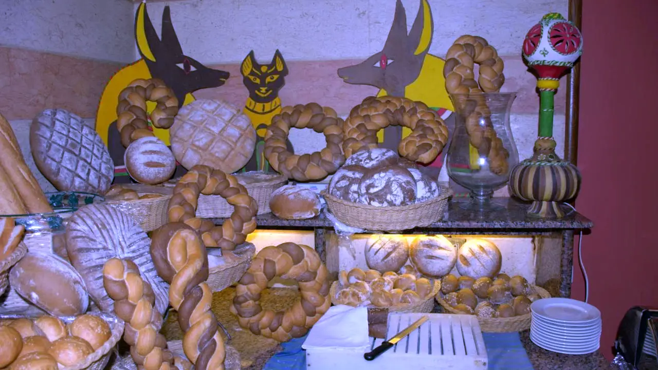 الفندق أرابيا أزور - الغردقة